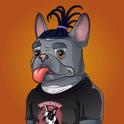 Bohemian Bulldog #498