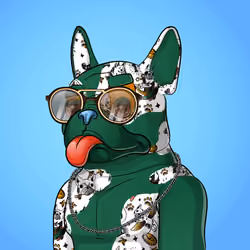 Bohemian Bulldog #9775