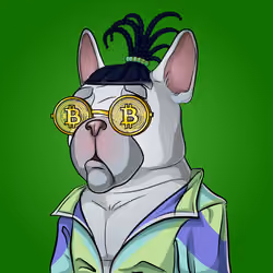 Bohemian Bulldog #3550