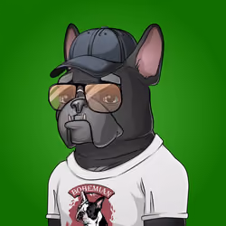 Bohemian Bulldog #1445