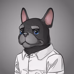 Bohemian Bulldog #8035