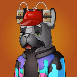 Bohemian Bulldog #4316