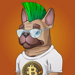 Bohemian Bulldog #1011