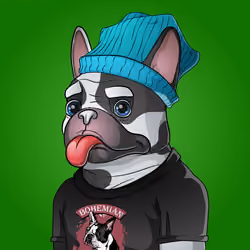 Bohemian Bulldog #931