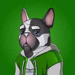 Bohemian Bulldog #8571