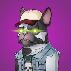 Bohemian Bulldog #3147