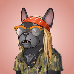 Bohemian Bulldog #5912