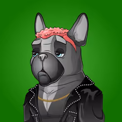 Bohemian Bulldog #8513