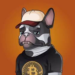 Bohemian Bulldog #3109