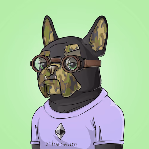 Bohemian Bulldog #2477