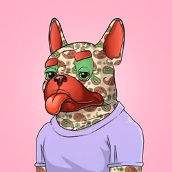 Bohemian Bulldog #9945