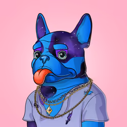 Bohemian Bulldog #5977