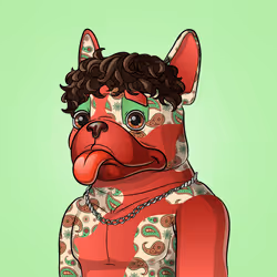 Bohemian Bulldog #2463
