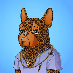 Bohemian Bulldog #9480