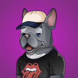 Bohemian Bulldog #4121