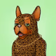 5776