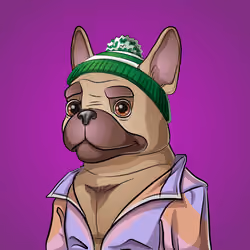 Bohemian Bulldog #9829