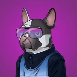 Bohemian Bulldog #7016