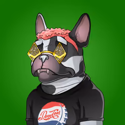 Bohemian Bulldog #3020