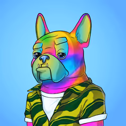 Bohemian Bulldog #3343