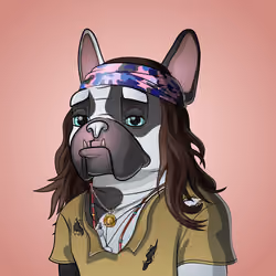 Bohemian Bulldog #1701