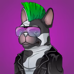 Bohemian Bulldog #8978