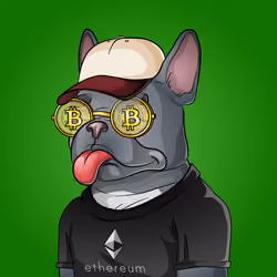 Bohemian Bulldog #8295