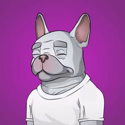 Bohemian Bulldog #5847