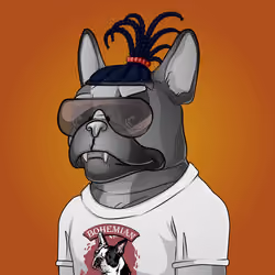 Bohemian Bulldog #5739