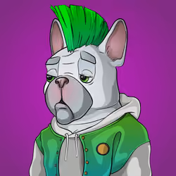 Bohemian Bulldog #1556