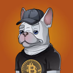 Bohemian Bulldog #1947
