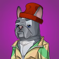 Bohemian Bulldog #8431