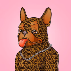 Bohemian Bulldog #4905
