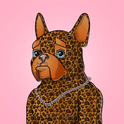 Bohemian Bulldog #9585