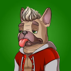 Bohemian Bulldog #5065