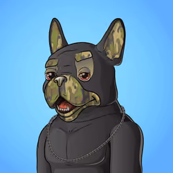Bohemian Bulldog #3082
