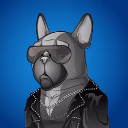 Bohemian Bulldog #8566