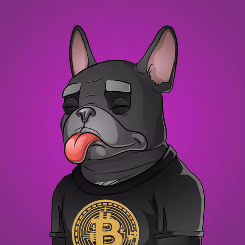 Bohemian Bulldog #9716