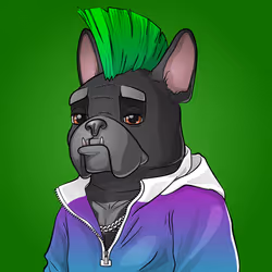 Bohemian Bulldog #9911