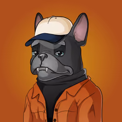 Bohemian Bulldog #6669