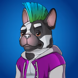 Bohemian Bulldog #5011