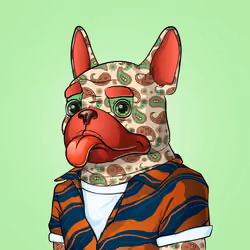 Bohemian Bulldog #5960