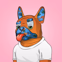 Bohemian Bulldog #3152
