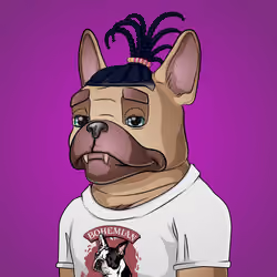 Bohemian Bulldog #2542