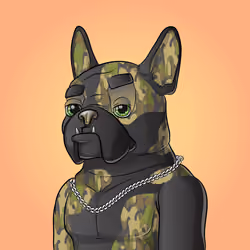 Bohemian Bulldog #9779