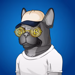 Bohemian Bulldog #1522