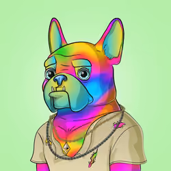 Bohemian Bulldog #4381