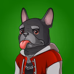 Bohemian Bulldog #3555