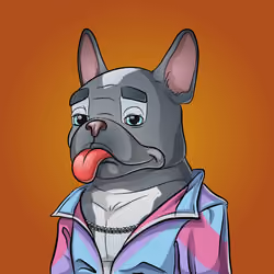 Bohemian Bulldog #217