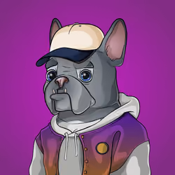 Bohemian Bulldog #8424